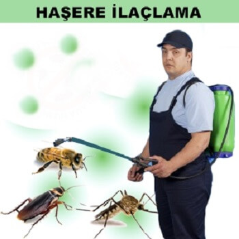 Doğanyol Böcek İlaçlama